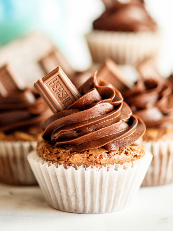 up close image of brownie cupcake with chocolate buttercream