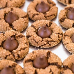 Chocolate Peanut Butter Blossoms - The Cookie Rookie®