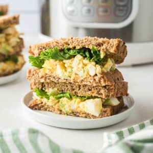 Instant Pot Egg Salad Recipe - 49