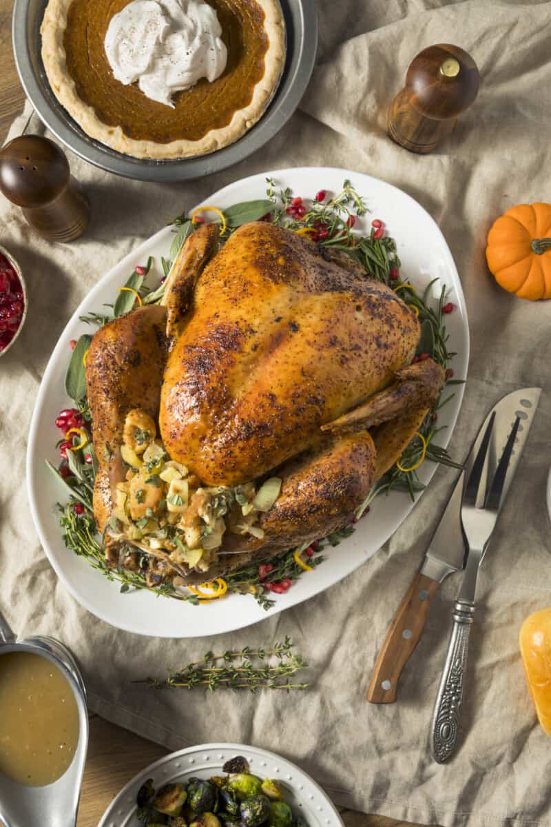 roast turkey stock image