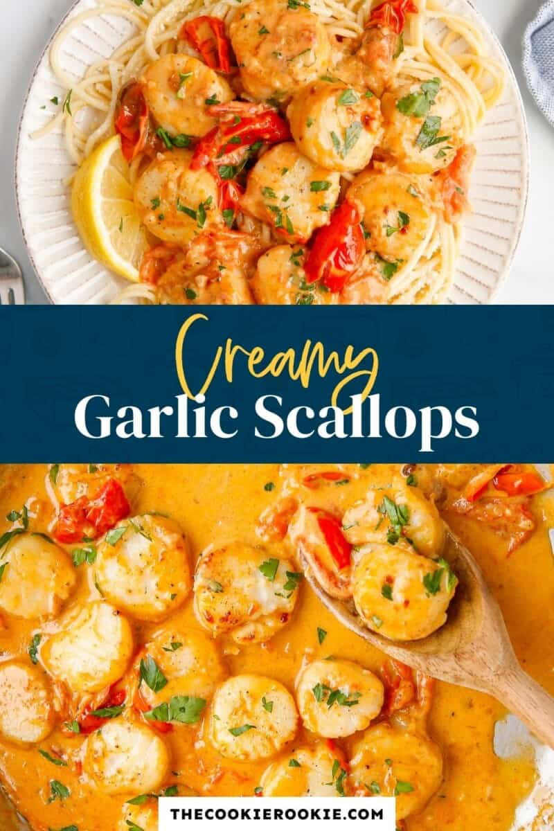 Creamy Garlic Scallops Recipe - The Cookie Rookie®