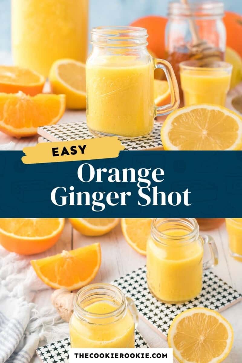 Easy Homemade Ginger Shot Recipe - The Balanced CEO
