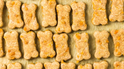 cheddar cheese dog treats on baking sheet