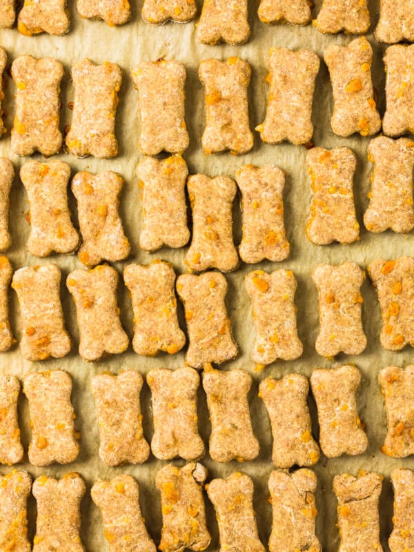 cheddar cheese dog treats on baking sheet