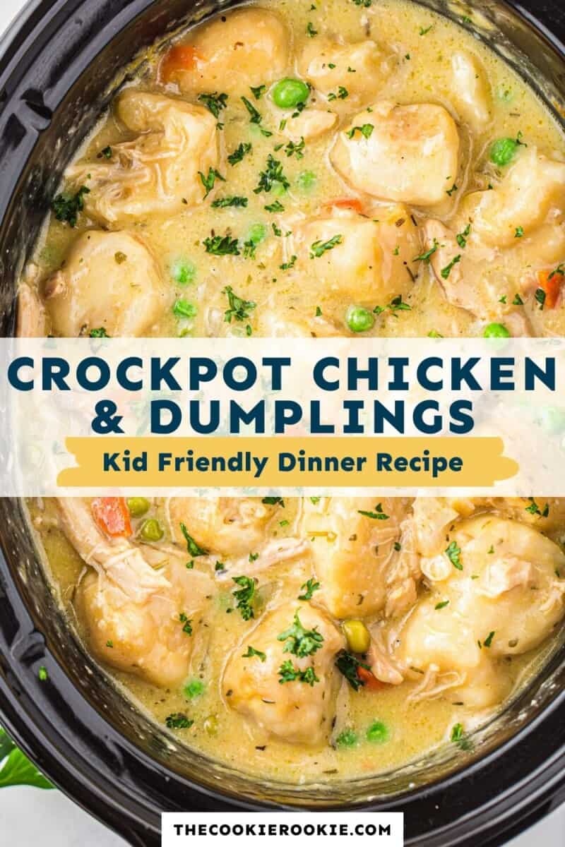 Crockpot Chicken and Dumplings Recipe - The Cookie Rookie®