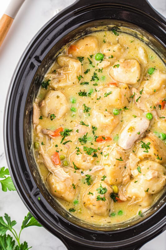 Crockpot Chicken and Dumplings Recipe Recipe - The Cookie Rookie®