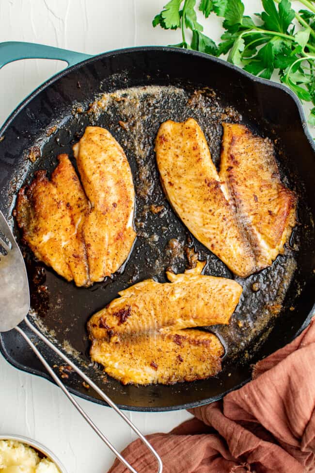 Pan Fried Tilapia The Cookie Rookie®