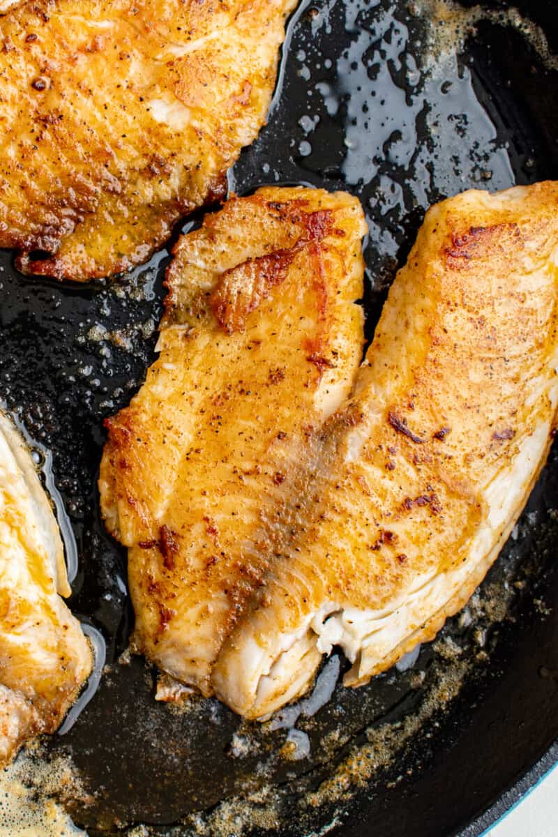 up close pan fried tilapia in skillet