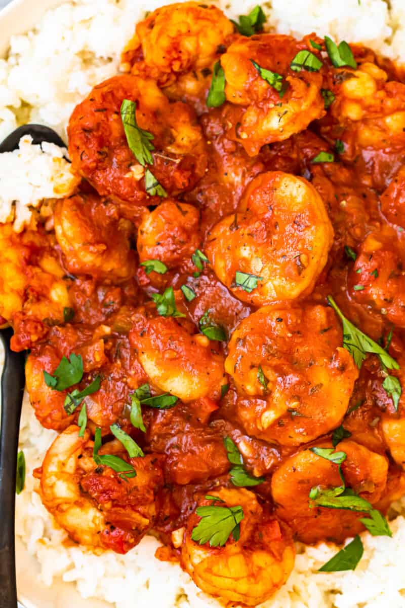 up close creole shrimp served over rice