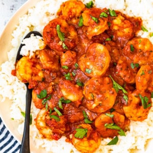 featured creole shrimp