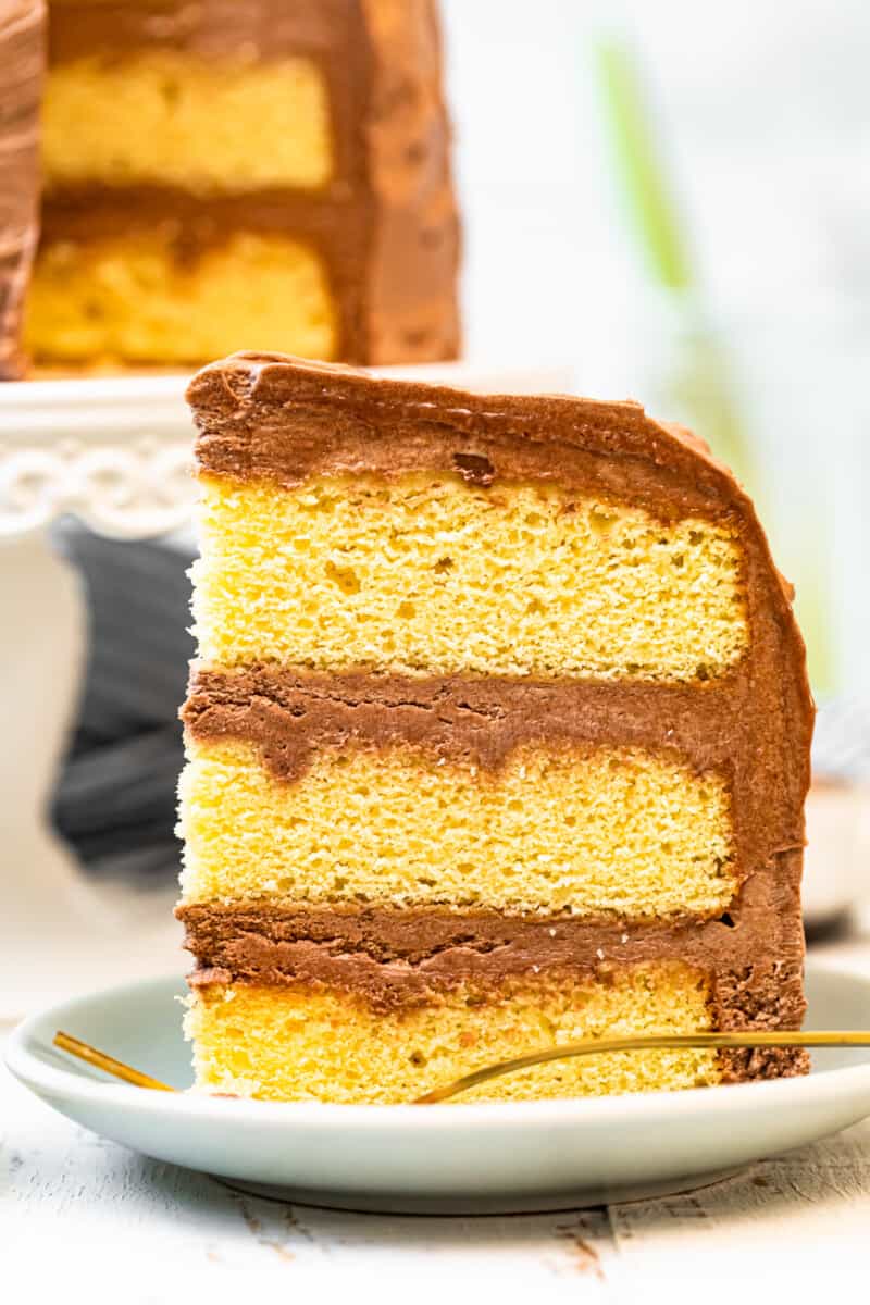 Yellow Cake with Milk Chocolate Buttercream – TheDirtyGyro