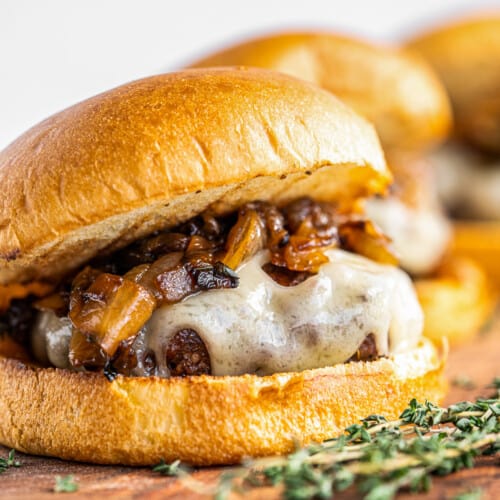 Homemade Grilling Mate Burger and Fries Seasoning Mix