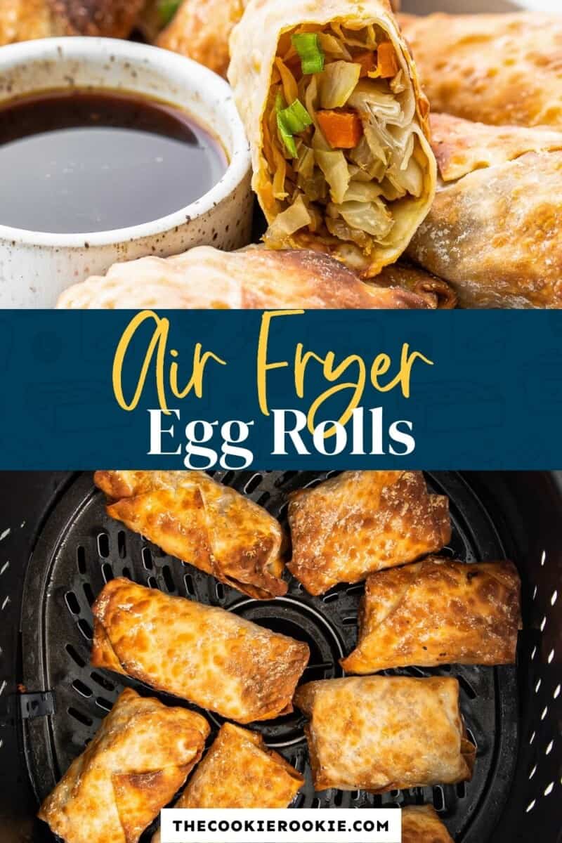 Tempeh Air Fryer Hoisin Egg Rolls
