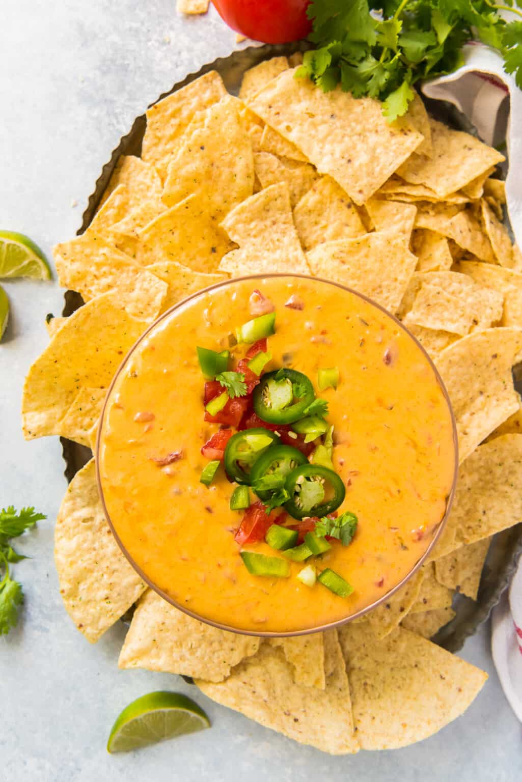 Instant Pot Queso Dip Recipe - The Cookie Rookie®