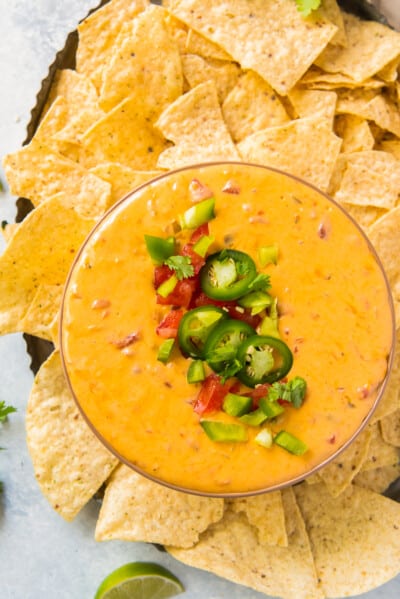 Instant Pot Queso Dip Recipe - The Cookie Rookie®
