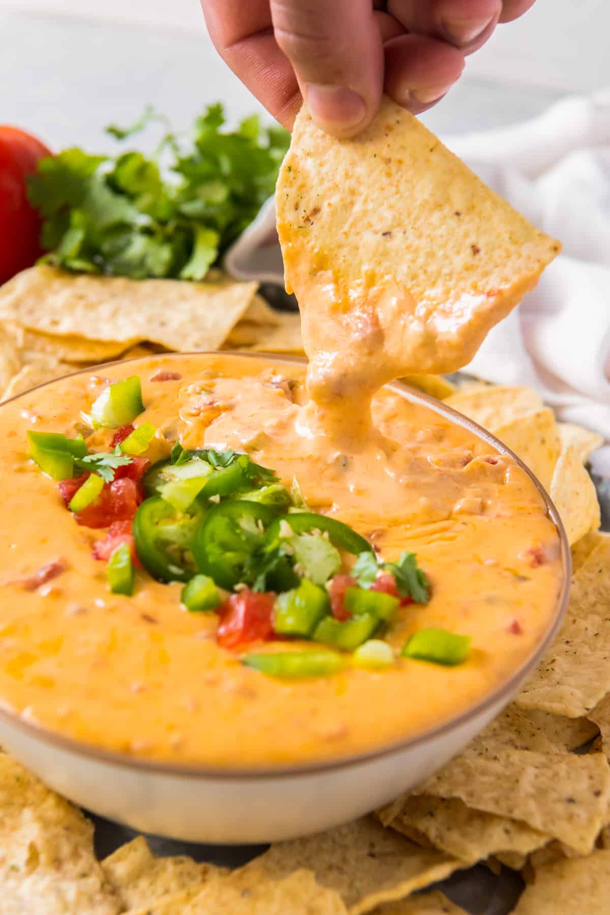 Instant Pot Queso Dip - The Cookie Rookie®