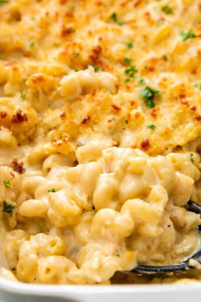 Lobster Mac And Cheese - The Cookie Rookie®