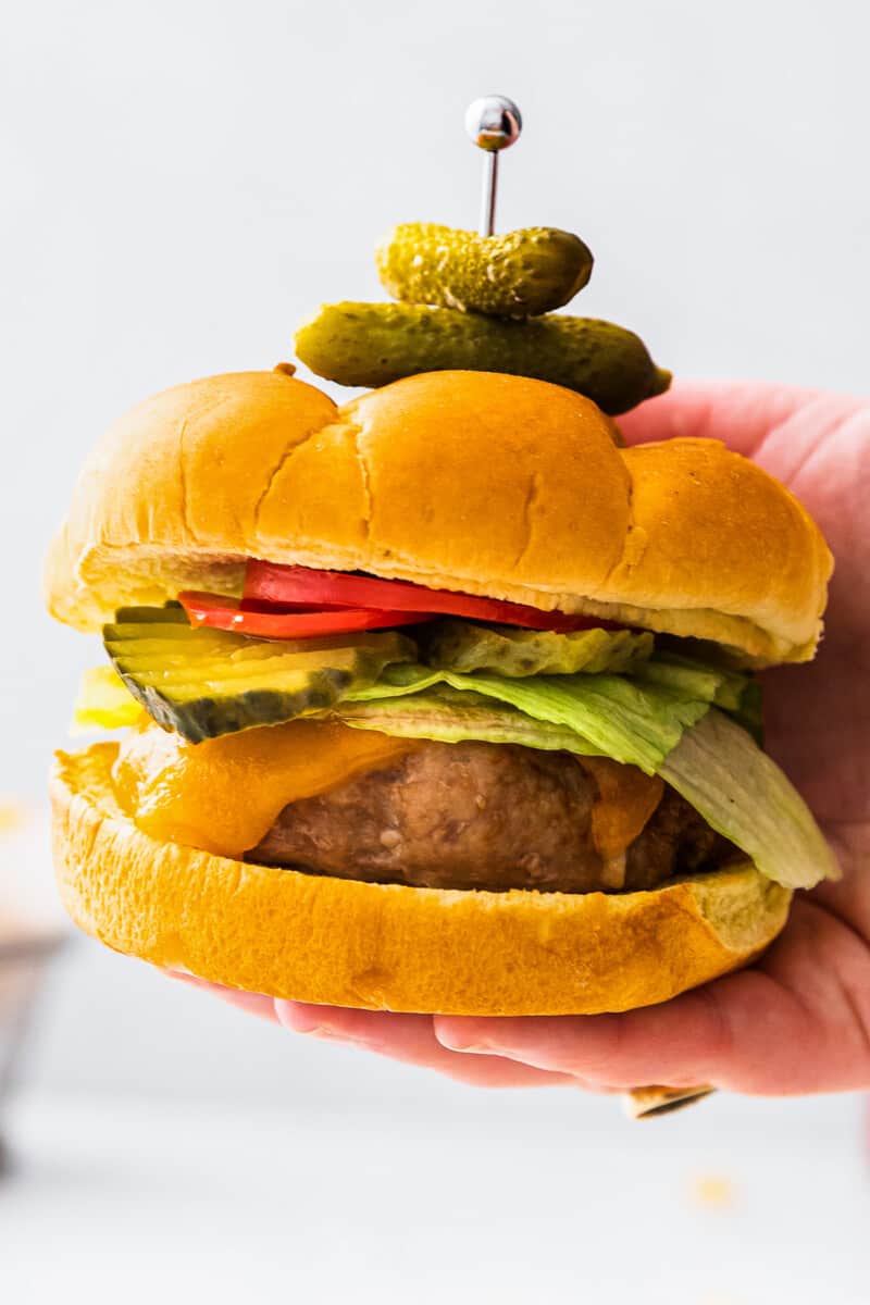 Air Fryer Turkey Burgers - Garnished Plate