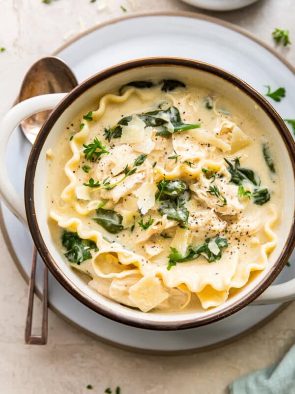 overhead bowl of white chicken lasagna soup