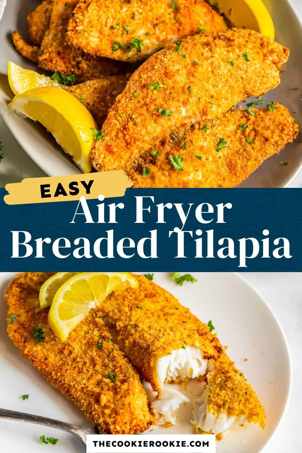 Air Fryer Breaded Tilapia Recipe - The Cookie Rookie®