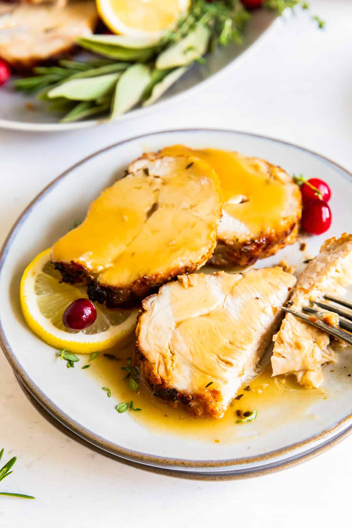 Air Fryer Turkey Breast Recipe - 86