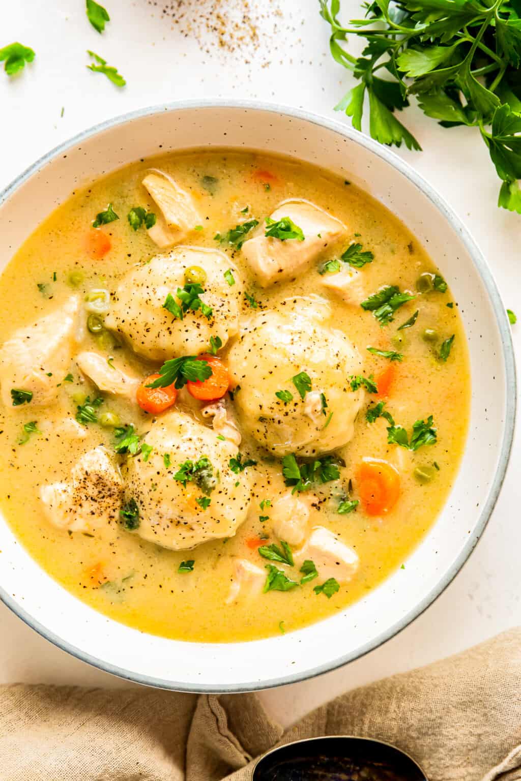 Chicken and Dumplings Recipe - The Cookie Rookie®