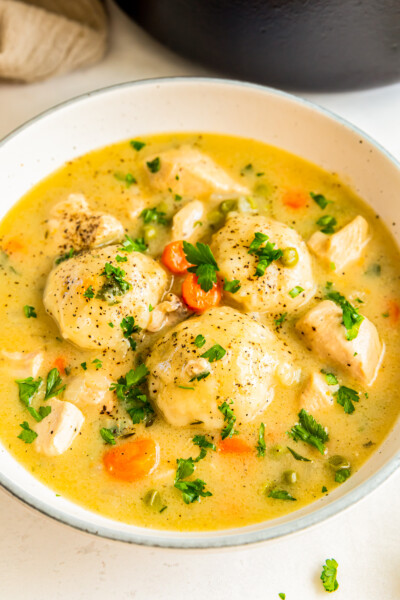 Chicken and Dumplings Recipe - The Cookie Rookie®