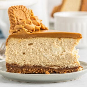 Biscoff Cheesecake Recipe - 48