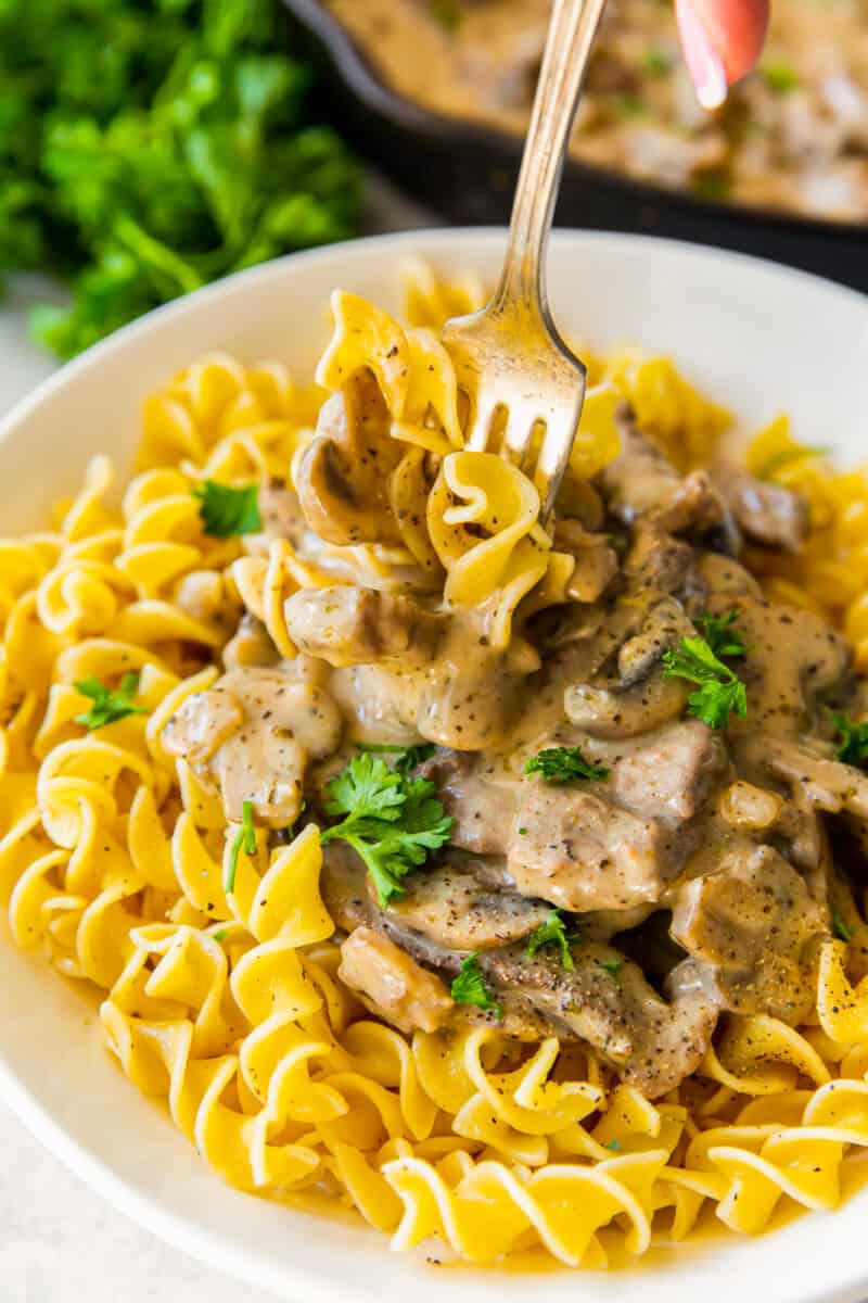 hand holding a fork in a plate of beef stroganoff