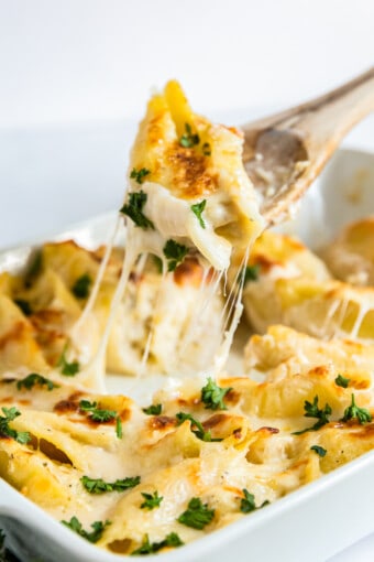 Chicken Alfredo Stuffed Shells Recipe - The Cookie Rookie®