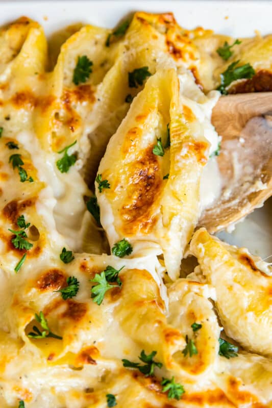 Chicken Alfredo Stuffed Shells - The Cookie Rookie®