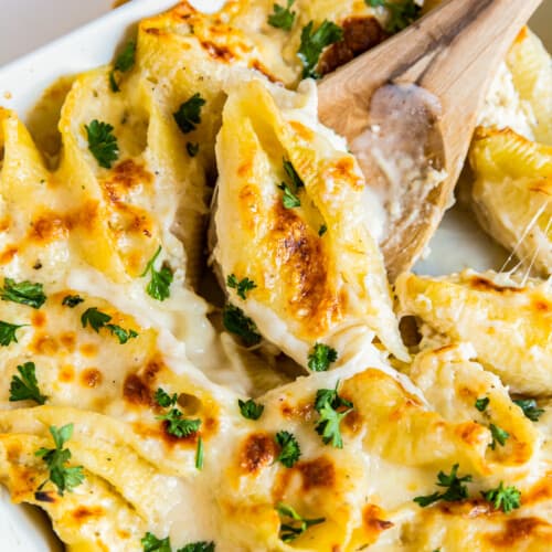 Easy Chicken Alfredo Stuffed Shells (Video) - One Sweet Appetite