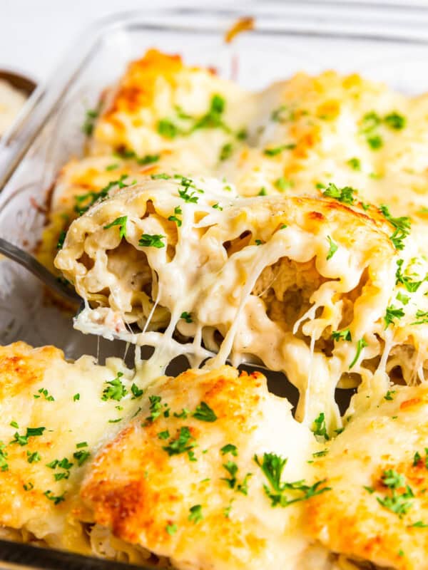 spatula lifting a chicken alfredo lasagna roll up out of the casserole dish