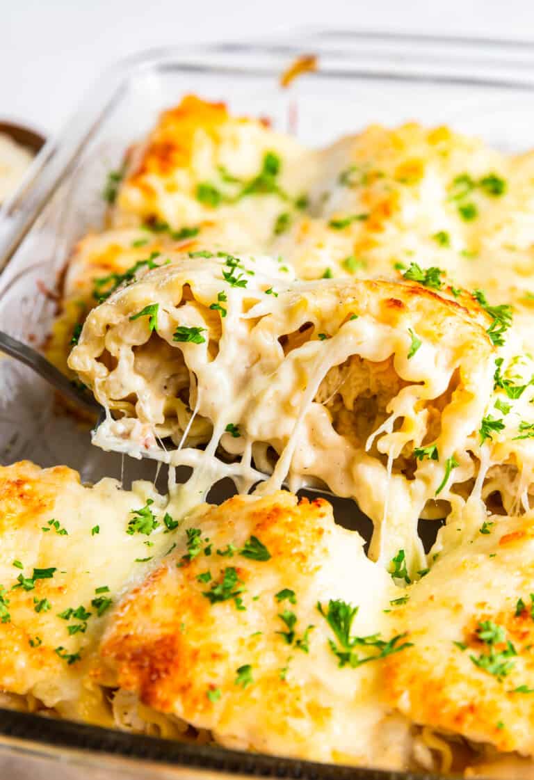 Chicken Alfredo Lasagna Roll Ups Recipe - The Cookie Rookie®