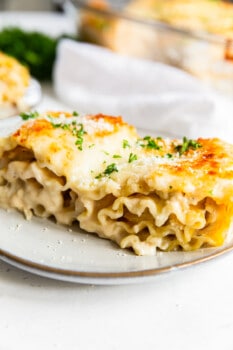 Chicken Alfredo Lasagna Roll Ups Recipe - The Cookie Rookie®