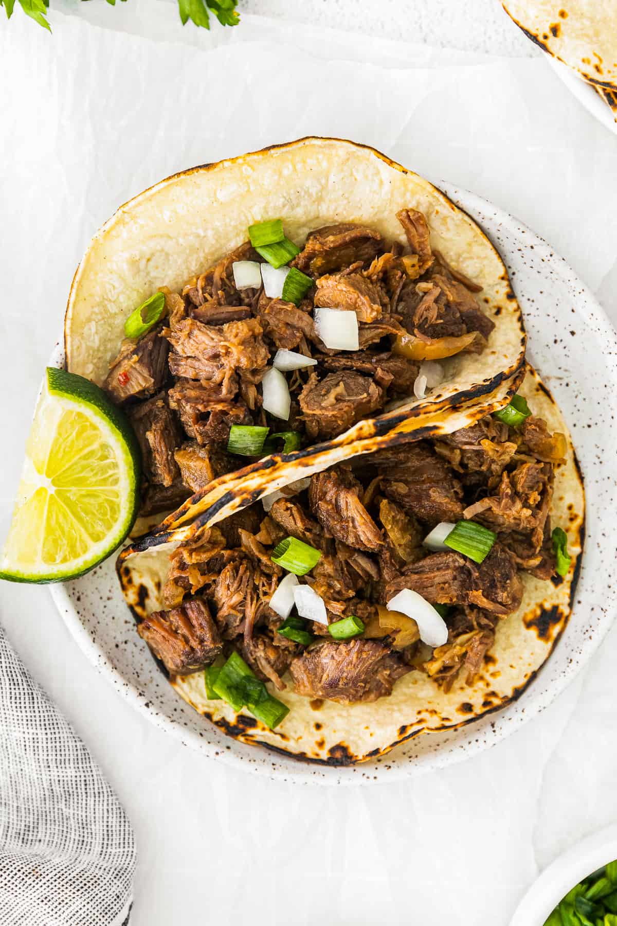Taco Tuesday 2-Quart Red Round Slow Cooker at
