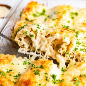 Chicken Alfredo Lasagna Roll Ups Recipe - 32