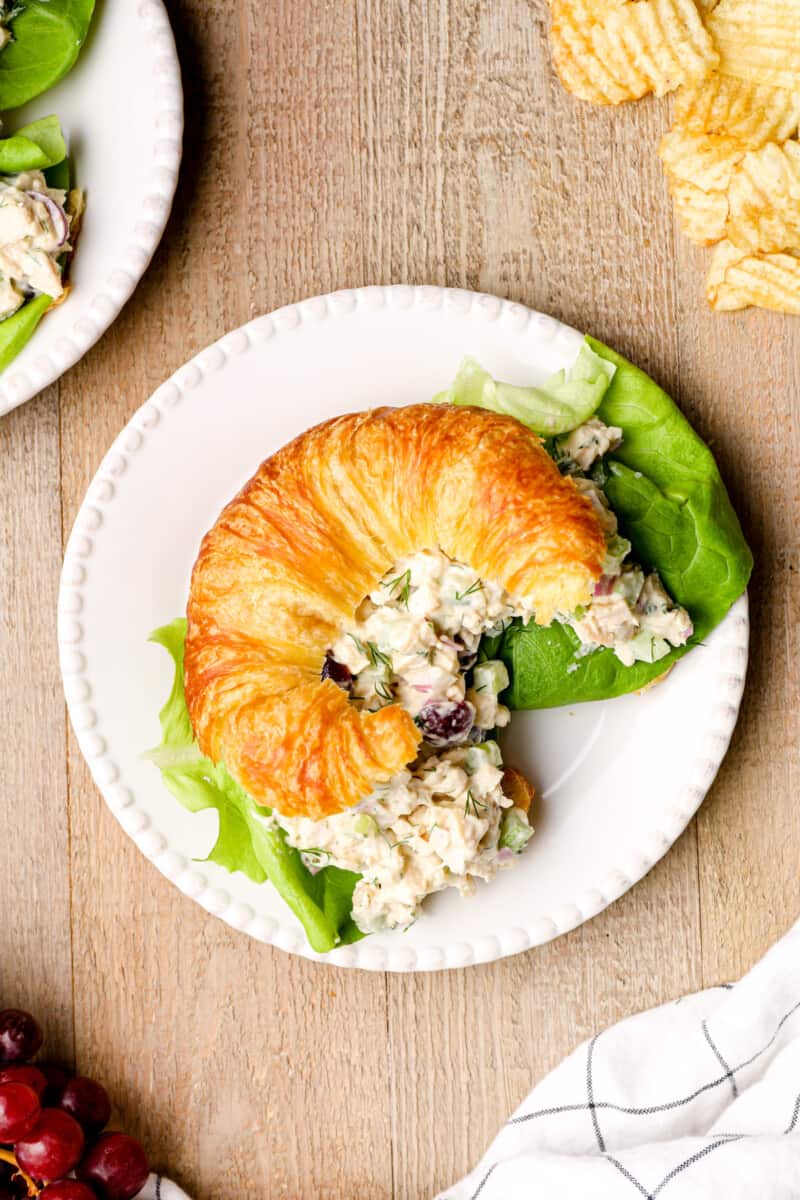 chicken salad on a croissant on a white plate