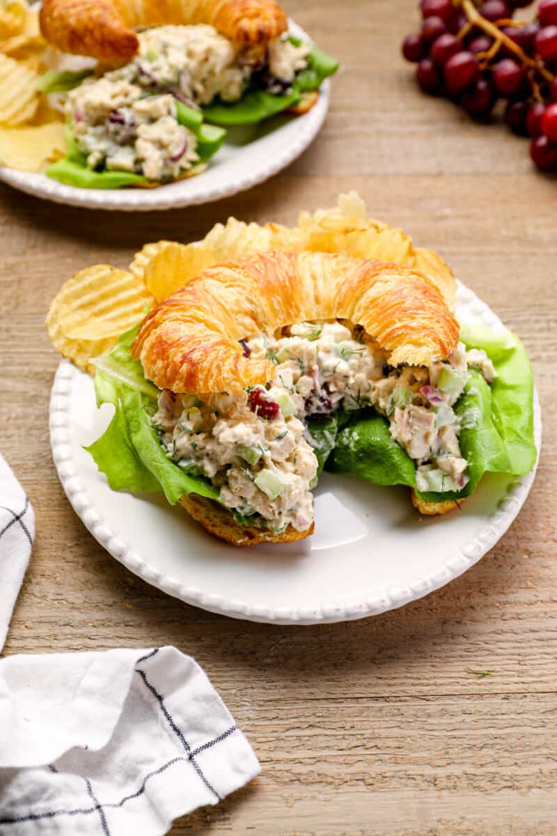 chicken salad on a croissant on a white plate