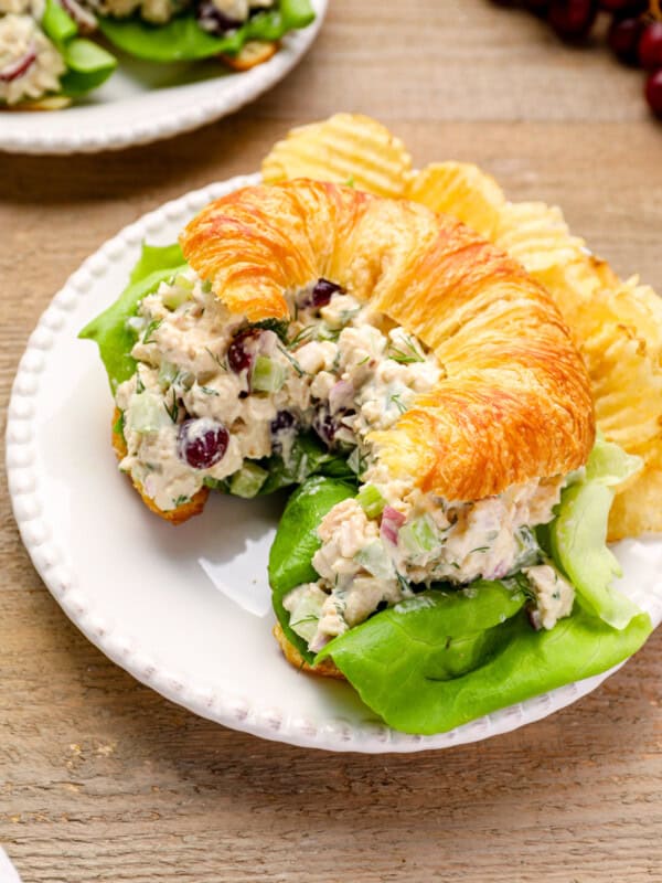 chicken salad on a croissant on a white plate