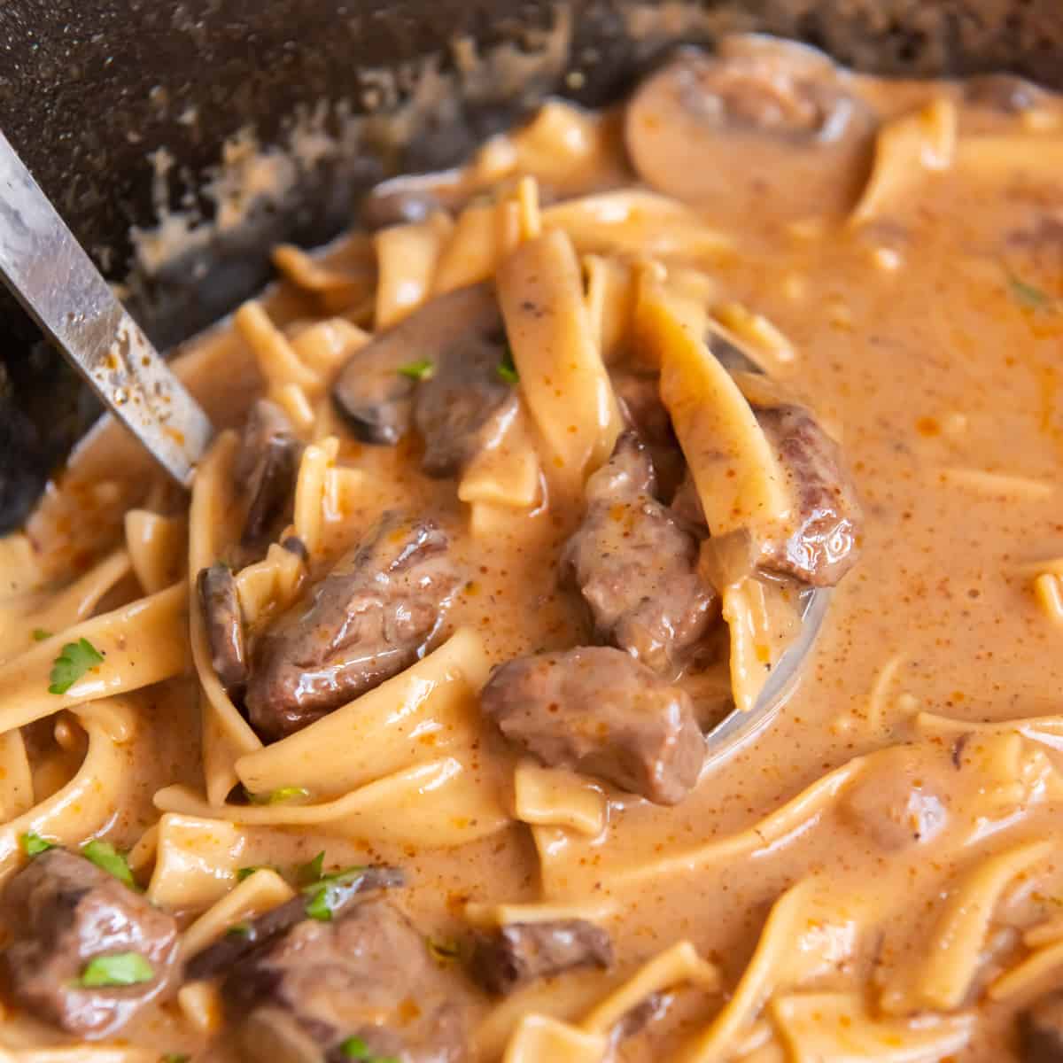 Beef Stroganoff Casserole Recipe - The Cookie Rookie®