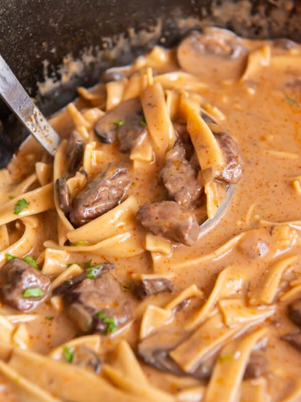 ladle of beef stroganoff soup in a pot