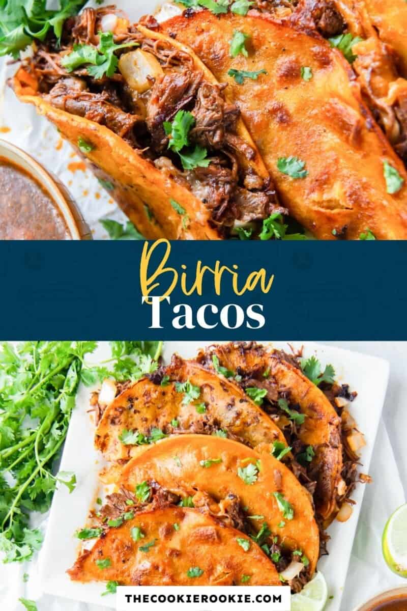 birria tacos pinterest