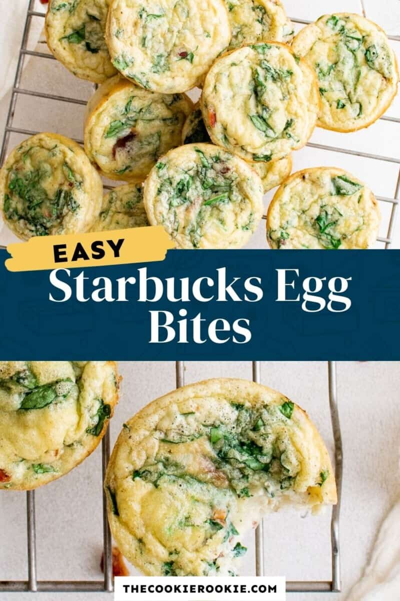 The Best Starbucks Egg Bites Recipe {Copycat} - The Girl on Bloor