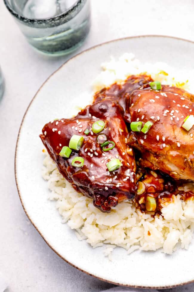 Crockpot Honey Garlic Chicken - The Cookie Rookie®