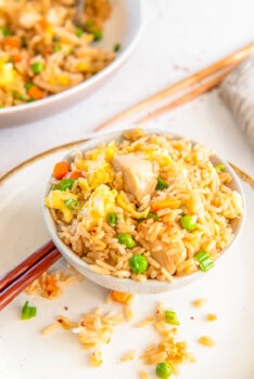 Chicken Fried Rice Recipe - The Cookie Rookie®