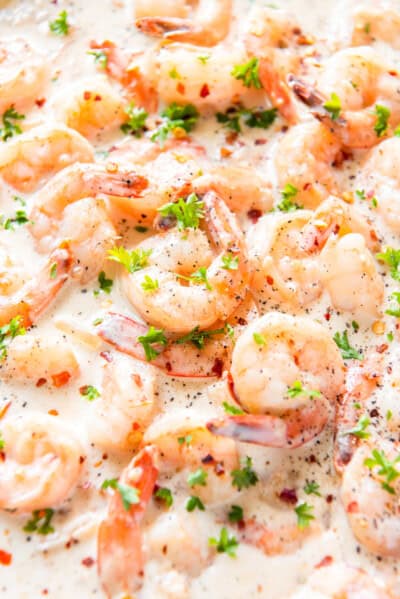 Creamy Parmesan Shrimp Recipe - The Cookie Rookie®