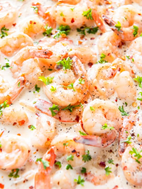 featured creamy parmesan shrimp.