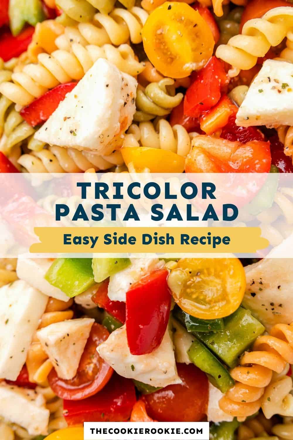 Tricolor Pasta Salad Recipe - The Cookie Rookie®