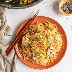 Chicken Lo Mein Recipe - 74